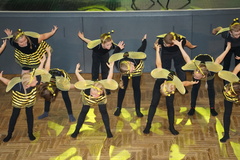 DSC02464