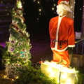 DSC03805